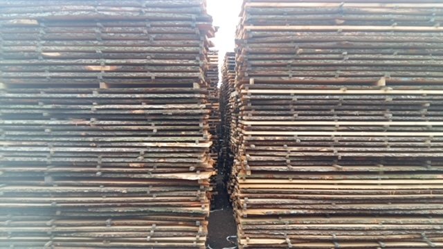 Unedged Alder Lumber 26 mm - Healthy Heartwood