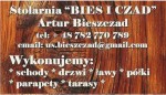 BIES ICZAD logo